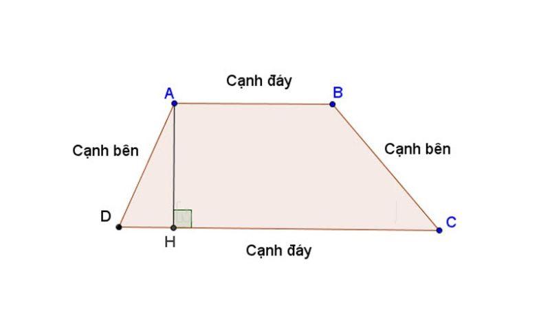 Hình thang là một loại hình tứ giác lồi có 2 cạnh đáy là 2 cạnh song song với nhau